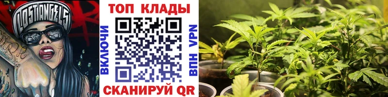 Где продают наркотики Красный Холм Псилоцибиновые грибы  Амфетамин  ГАШИШ  COCAIN 