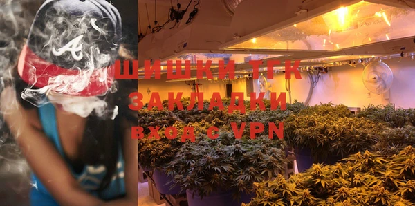 трава Инта